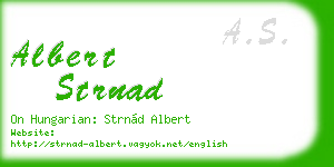 albert strnad business card